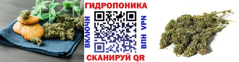 Canna-Cookies конопля  Москва 