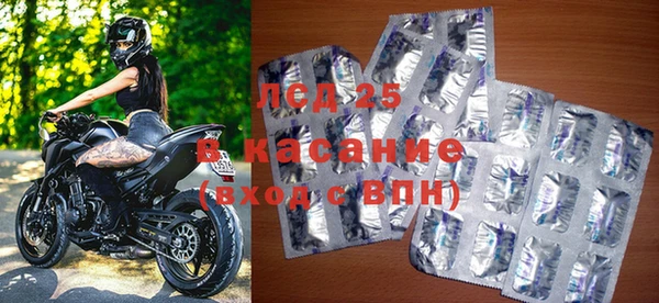 ПСИЛОЦИБИНОВЫЕ ГРИБЫ Алзамай