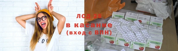 ПСИЛОЦИБИНОВЫЕ ГРИБЫ Алзамай