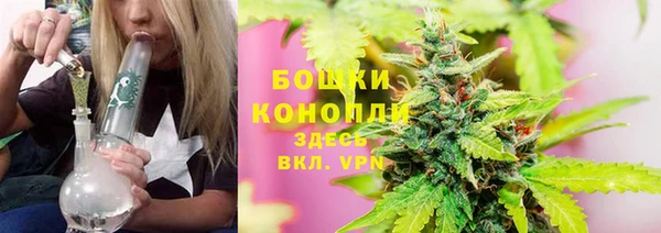 ПСИЛОЦИБИНОВЫЕ ГРИБЫ Алзамай